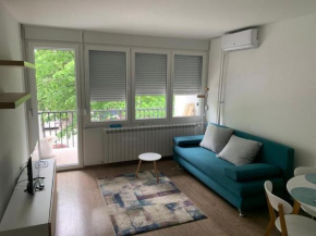 Apartment Starry